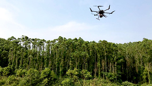 Forestry Point seeding Technology